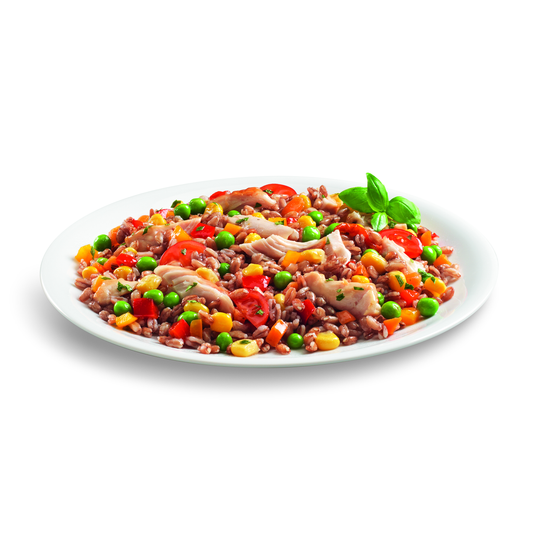 2 X Insalata di Farro con Tacchino Arrosto Chef a Casa